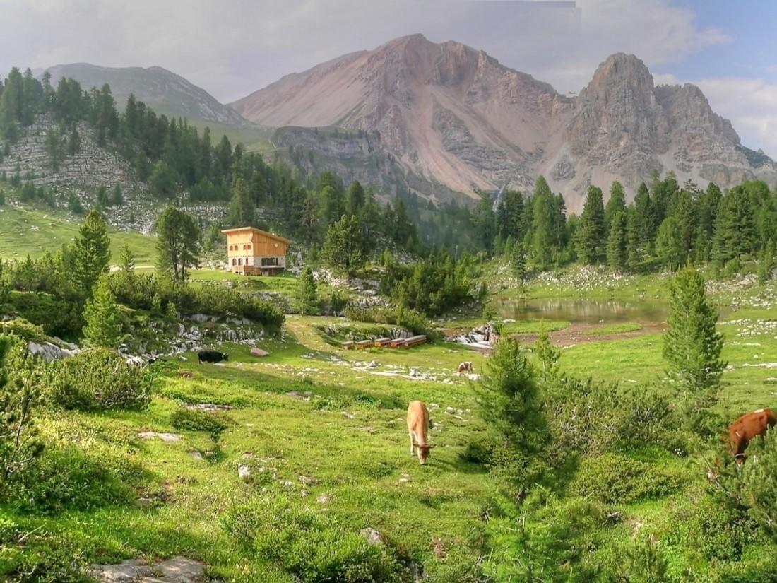 Hotel Resa Blancia San Vigilio Di Marebbe Eksteriør bilde